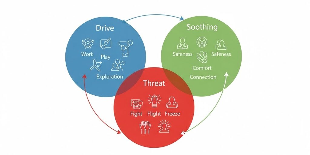 3 Circles - Compassion Focused Therapy Threat, drive and soothing system - Compassion focused therapy